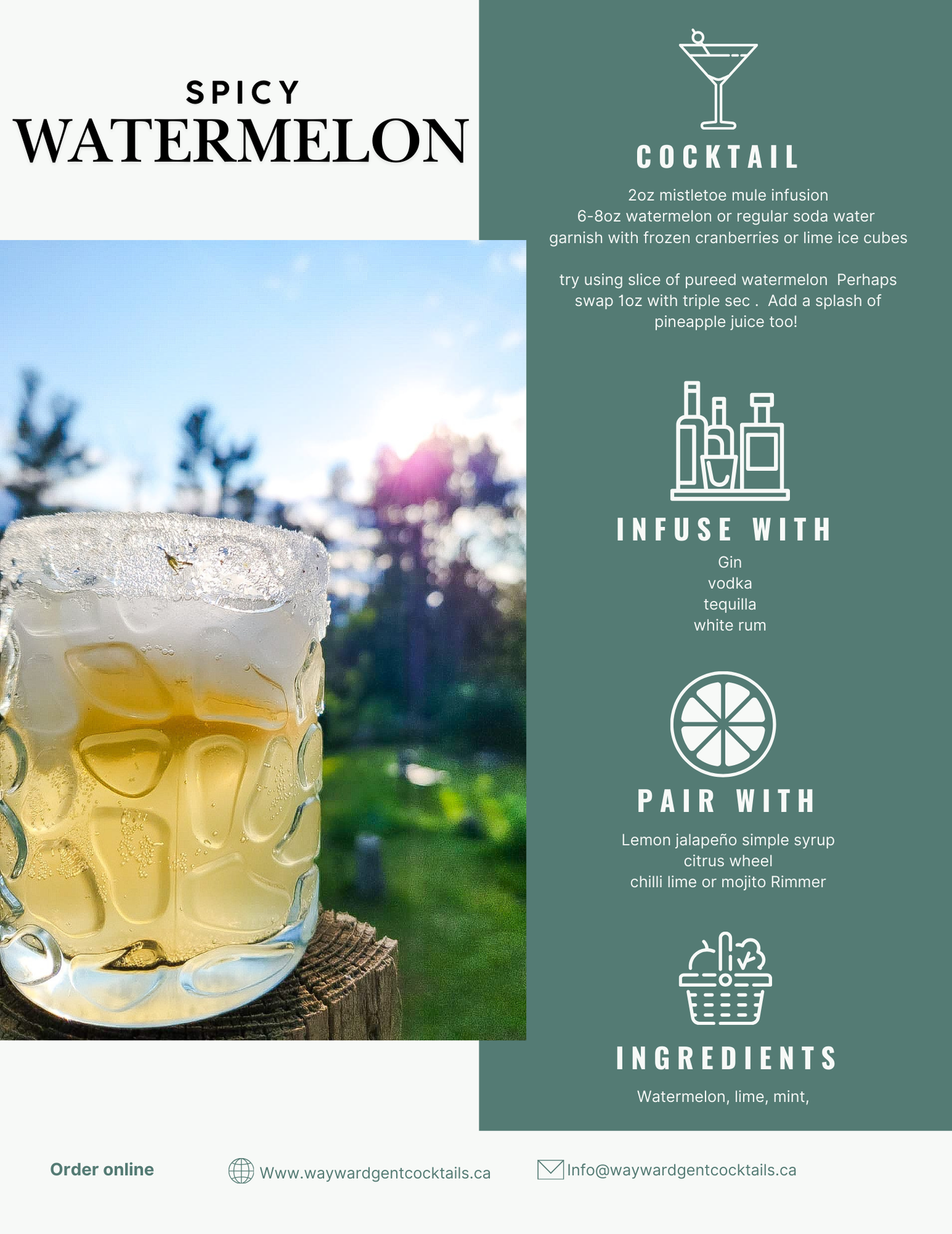 SPICY WATERMELON COCKTAIL INFUSION