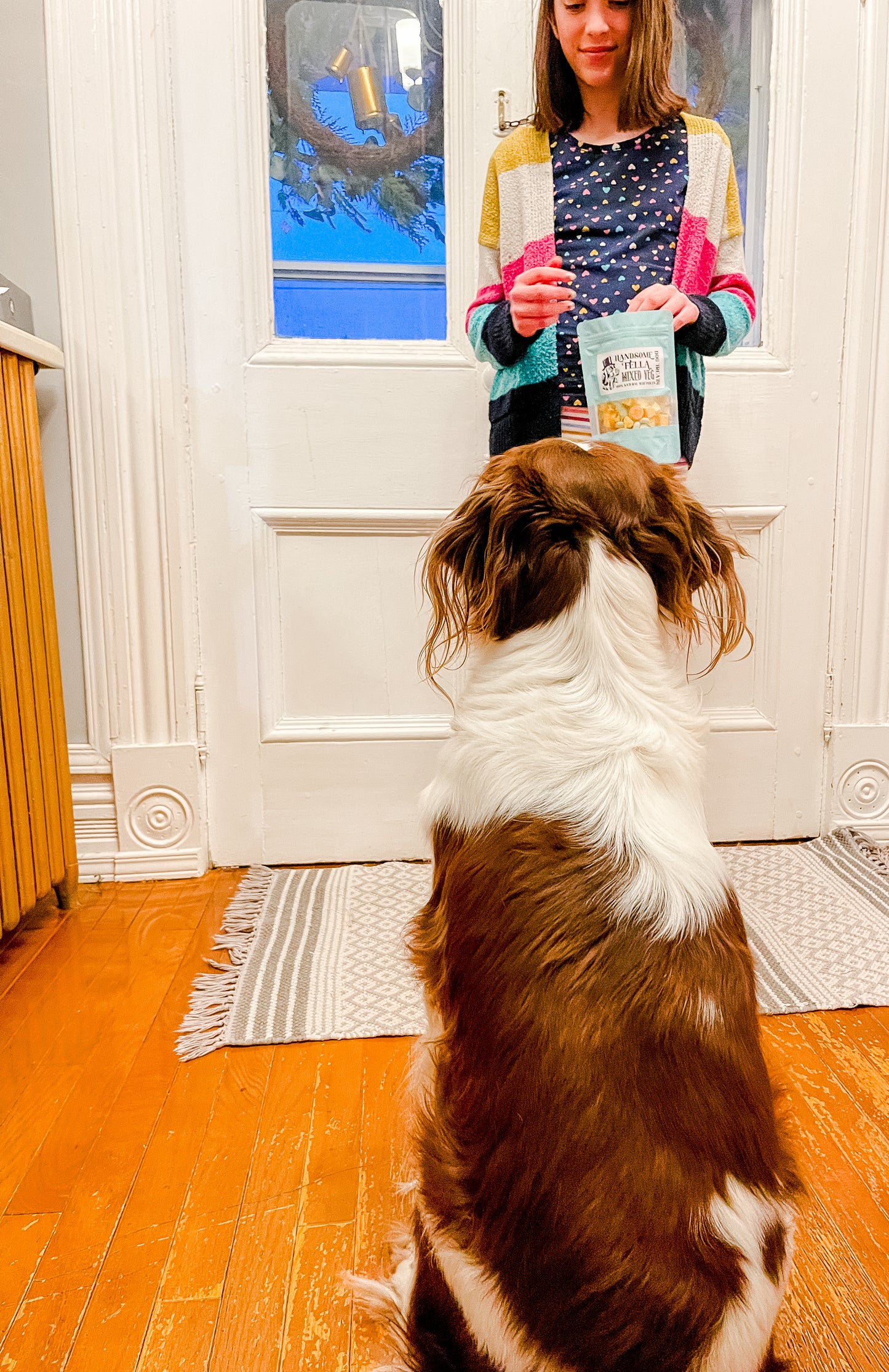 Handsome Fella Dog Treats - Mixed Veg