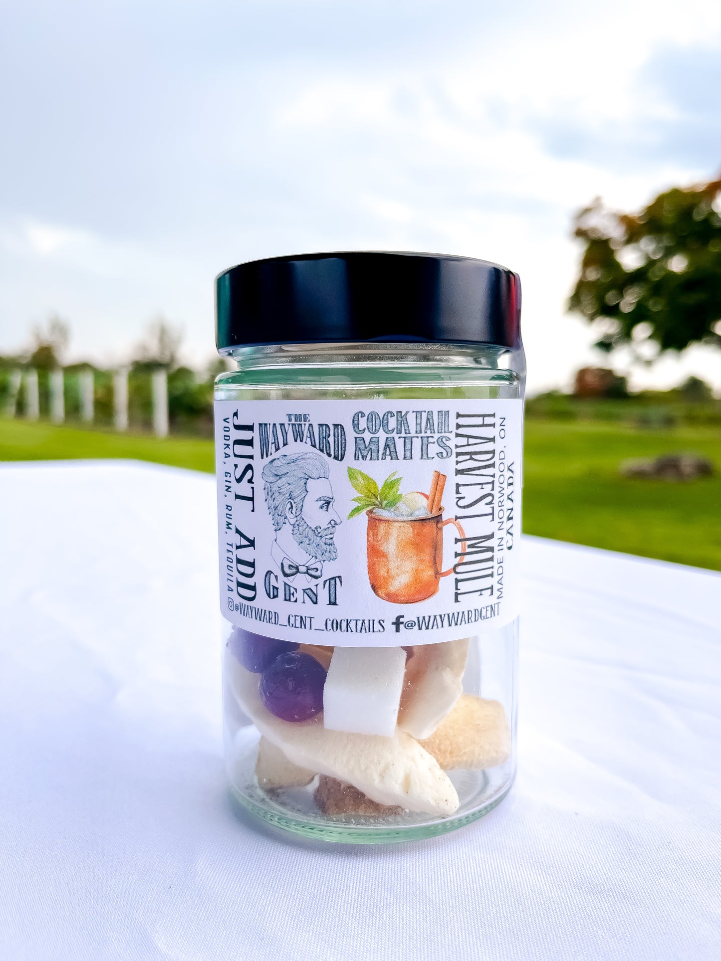 HULA MULE COCKTAIL INFUSION