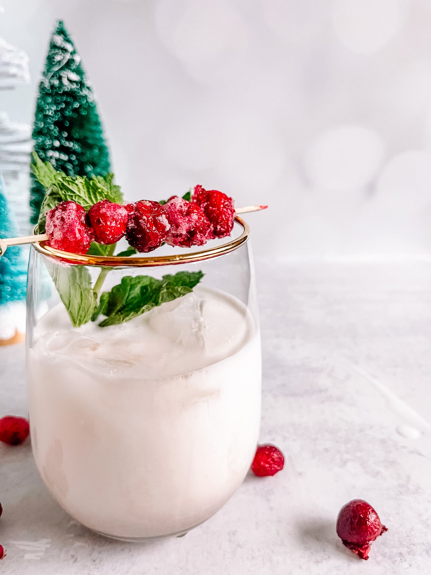 WINTER MOJITO COCKTAIL INFUSION