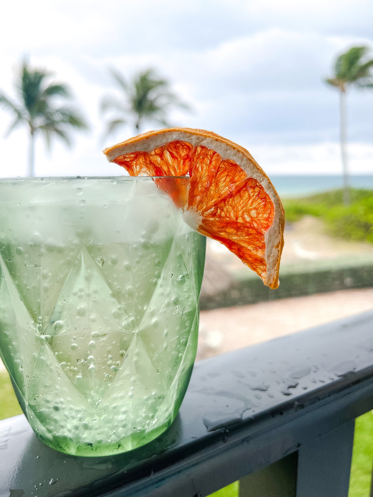 MIXED CITRUS GARNISH