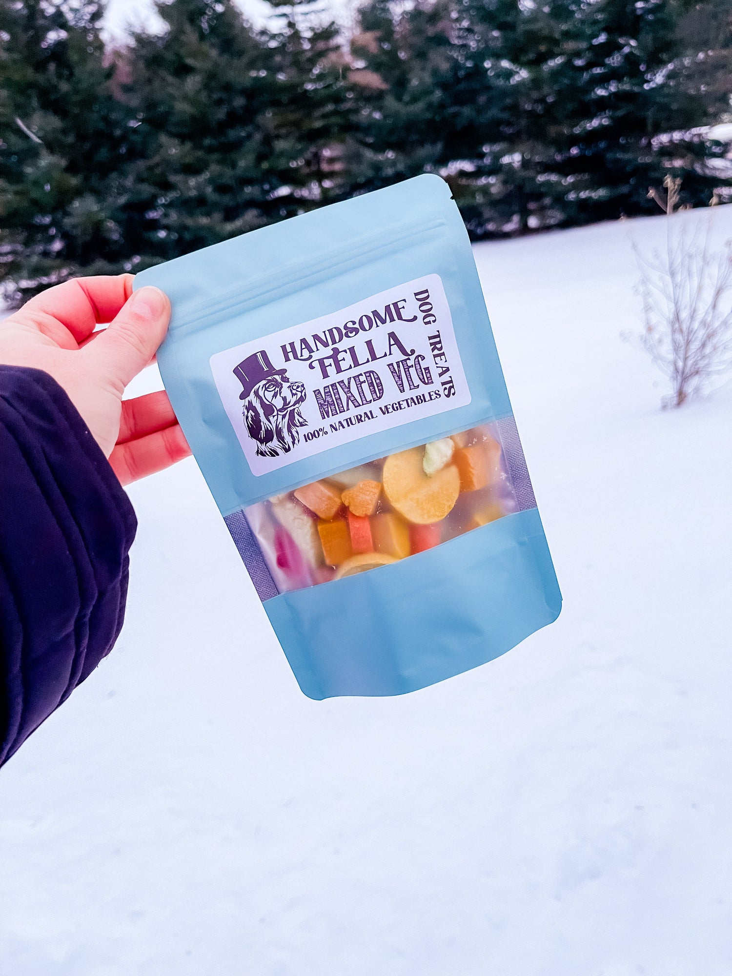 HANDSOME FELLA DOG TREATS