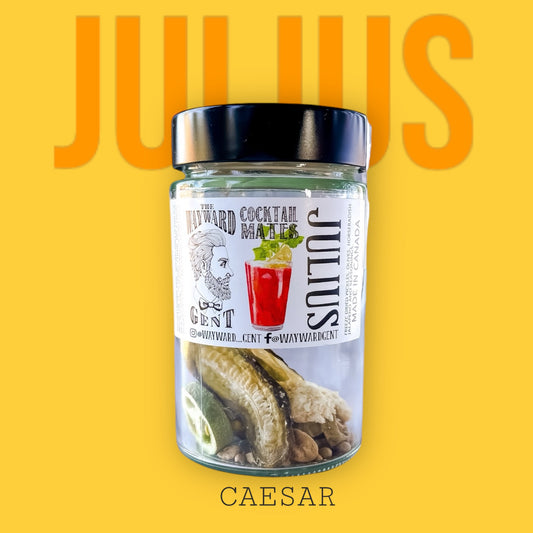 JULIUS (CAESAR) COCKTAIL INFUSION