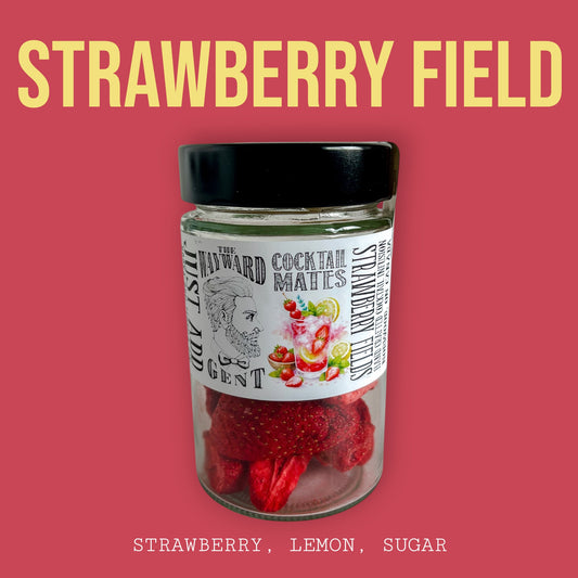 STRAWBERRY FIELDS COCKTAIL INFUSION
